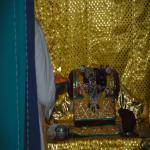 Vraj-Yatra-2014- (1464)